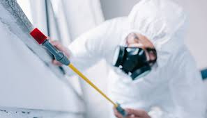 Best Commercial Pest Control  in Hastings, MI